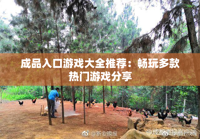 成品入口游戏大全推荐：畅玩多款热门游戏分享