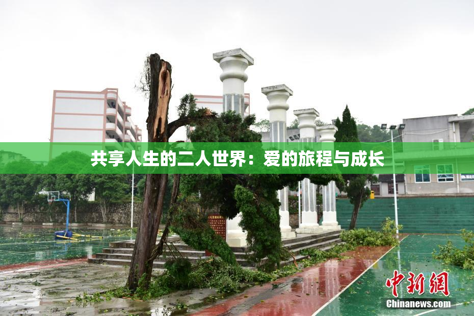 共享人生的二人世界：爱的旅程与成长