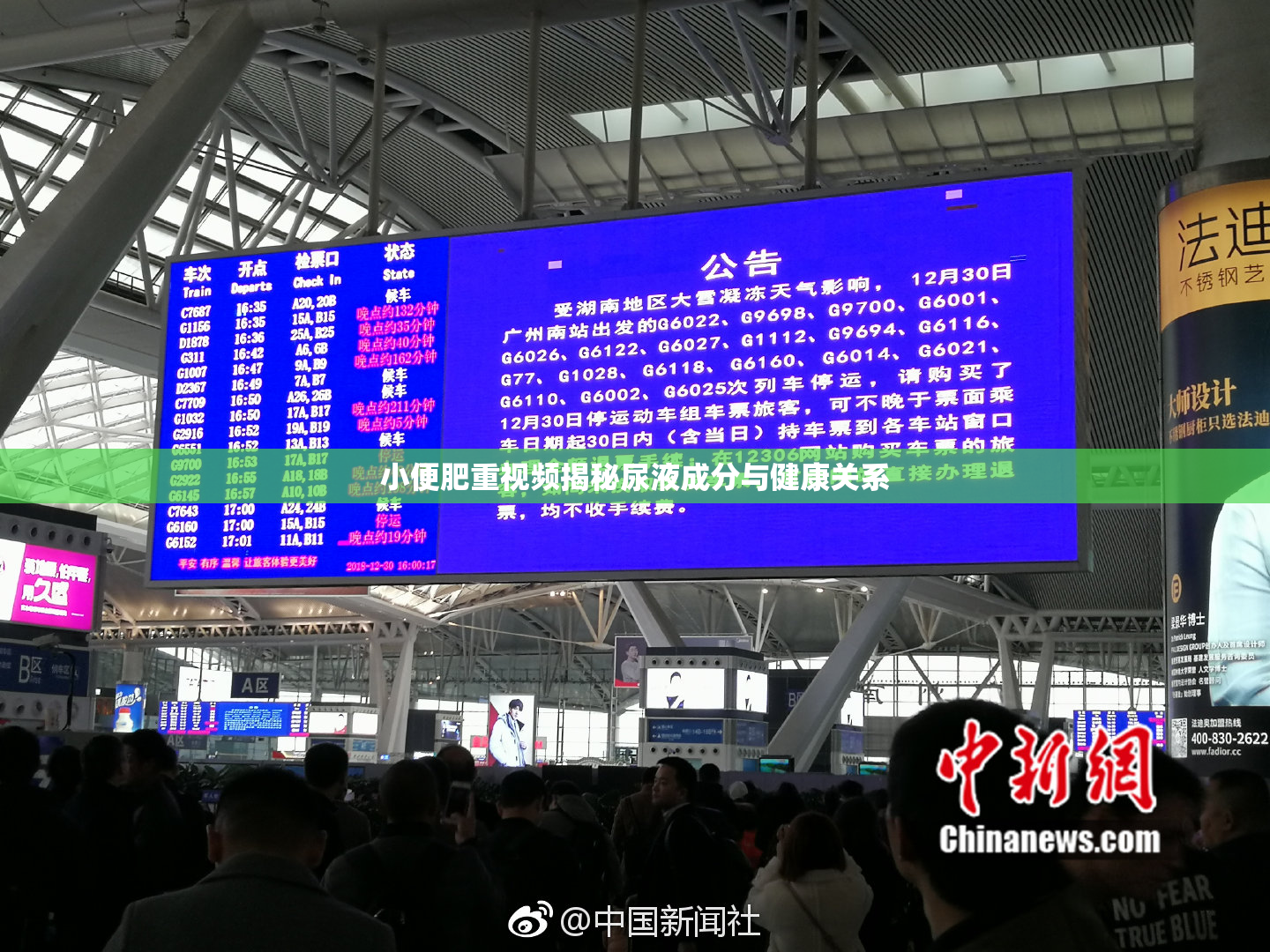 小便肥重视频揭秘尿液成分与健康关系