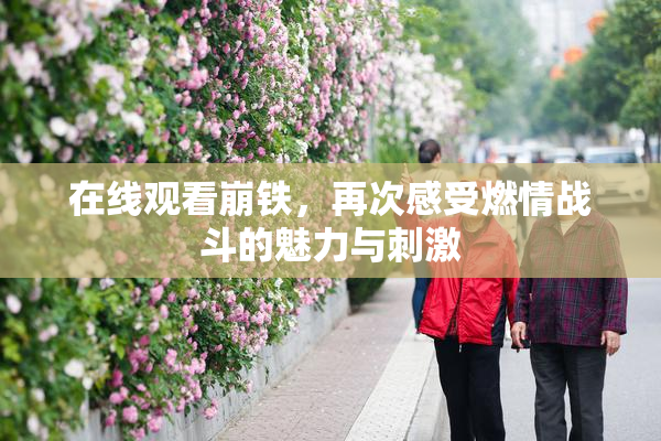 在线观看崩铁，再次感受燃情战斗的魅力与刺激