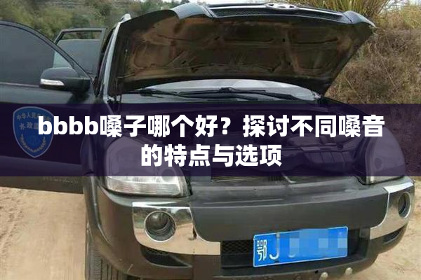 bbbb嗓子哪个好？探讨不同嗓音的特点与选项