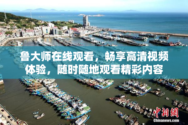 鲁大师在线观看，畅享高清视频体验，随时随地观看精彩内容