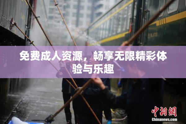 免费成人资源，畅享无限精彩体验与乐趣