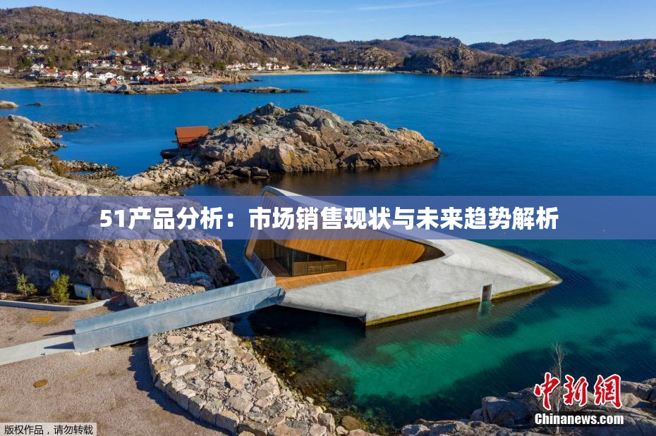 51产品分析：市场销售现状与未来趋势解析