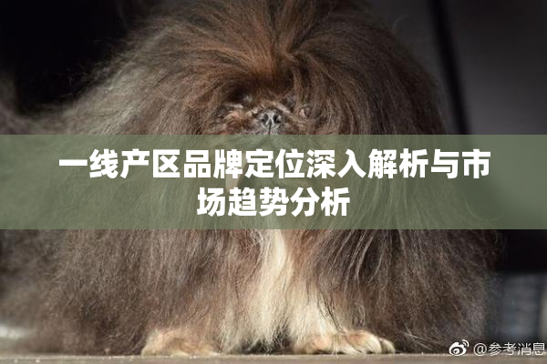 一线产区品牌定位深入解析与市场趋势分析
