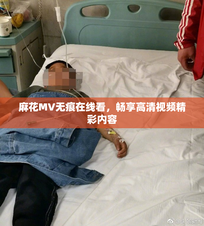 麻花MV无痕在线看，畅享高清视频精彩内容
