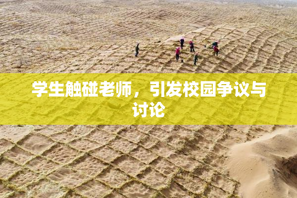 学生触碰老师，引发校园争议与讨论