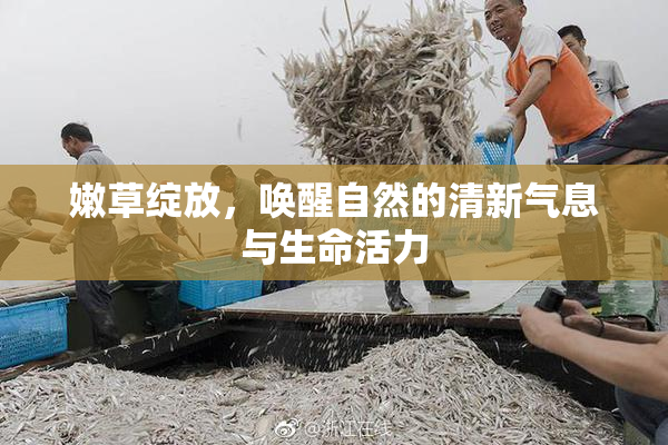 嫩草绽放，唤醒自然的清新气息与生命活力