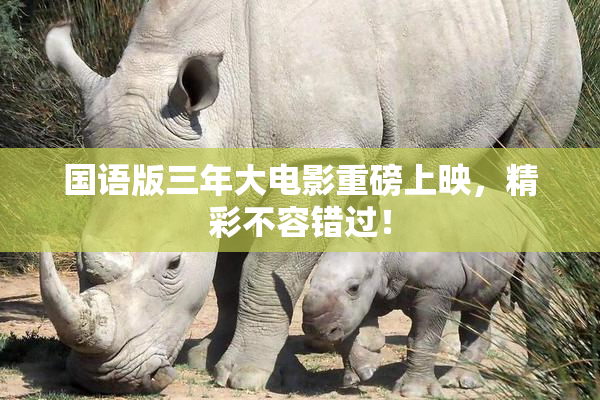 国语版三年大电影重磅上映，精彩不容错过！