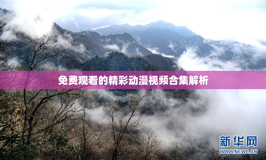 免费观看的精彩动漫视频合集解析