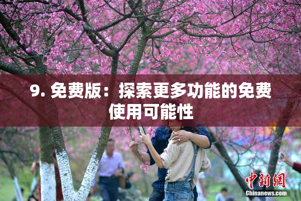 9. 免费版：探索更多功能的免费使用可能性