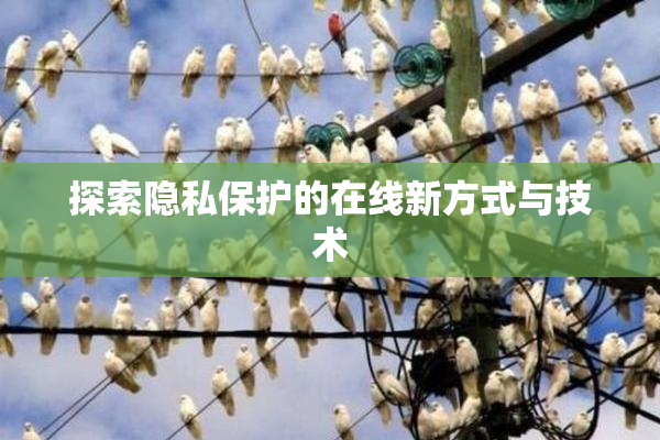探索隐私保护的在线新方式与技术