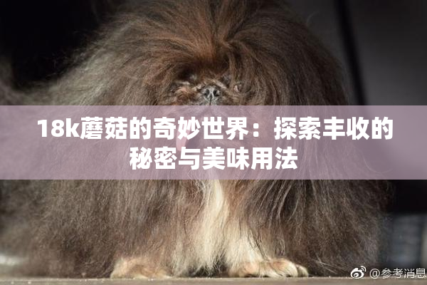 18k蘑菇的奇妙世界：探索丰收的秘密与美味用法
