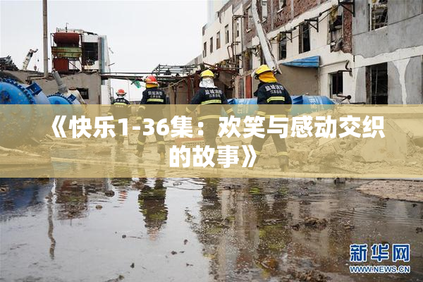 《快乐1-36集：欢笑与感动交织的故事》