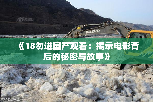 《18勿进国产观看：揭示电影背后的秘密与故事》