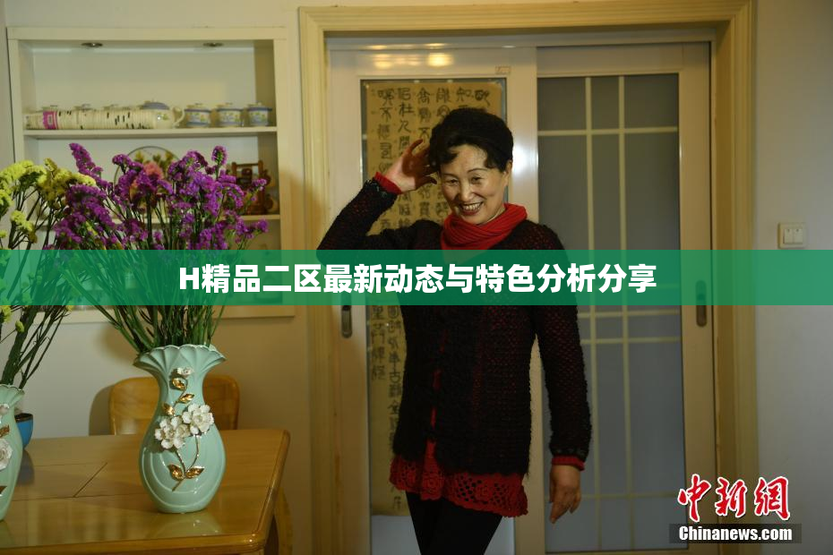 H精品二区最新动态与特色分析分享