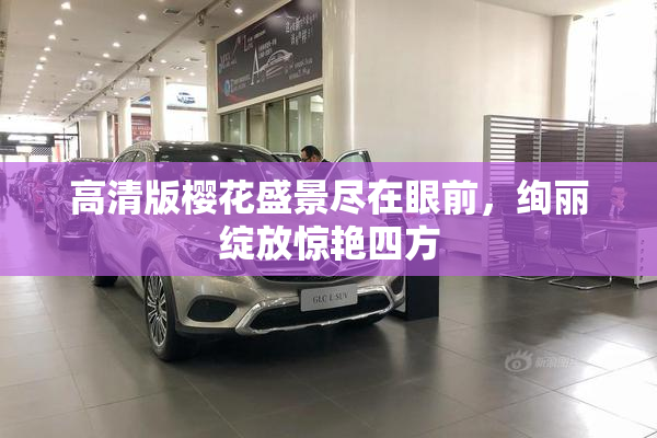 高清版樱花盛景尽在眼前，绚丽绽放惊艳四方