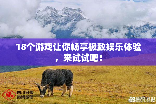 18个游戏让你畅享极致娱乐体验，来试试吧！