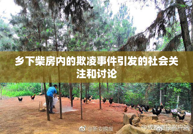 乡下柴房内的欺凌事件引发的社会关注和讨论