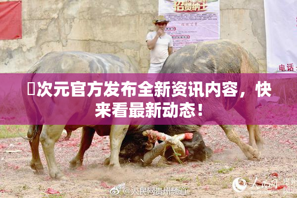 囧次元官方发布全新资讯内容，快来看最新动态！