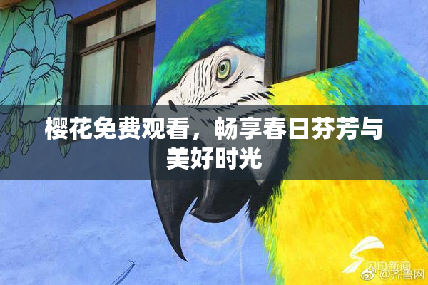 樱花免费观看，畅享春日芬芳与美好时光