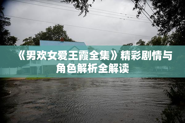 《男欢女爱王霞全集》精彩剧情与角色解析全解读