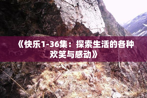 《快乐1-36集：探索生活的各种欢笑与感动》