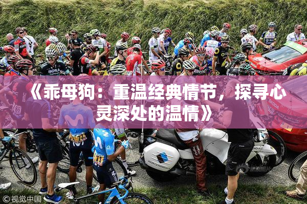 《乖母狗：重温经典情节，探寻心灵深处的温情》