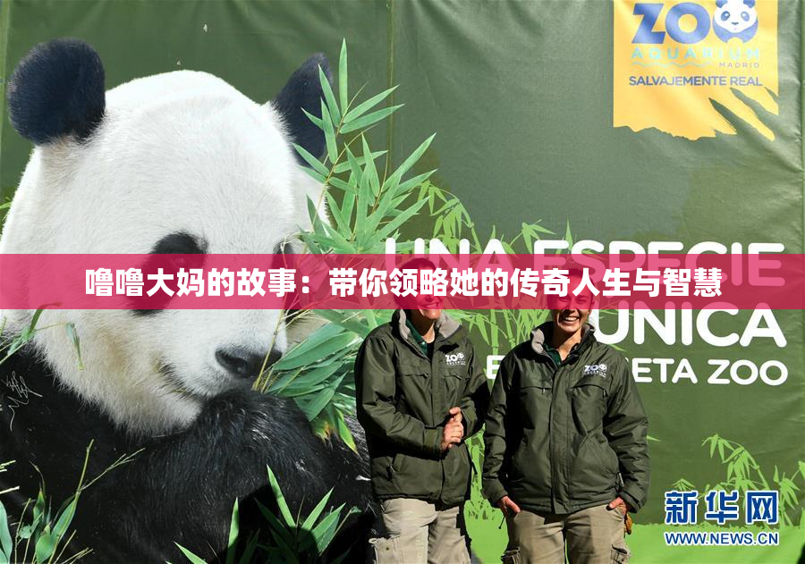 噜噜大妈的故事：带你领略她的传奇人生与智慧