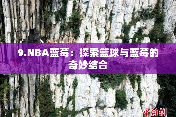 9.NBA蓝莓：探索篮球与蓝莓的奇妙结合