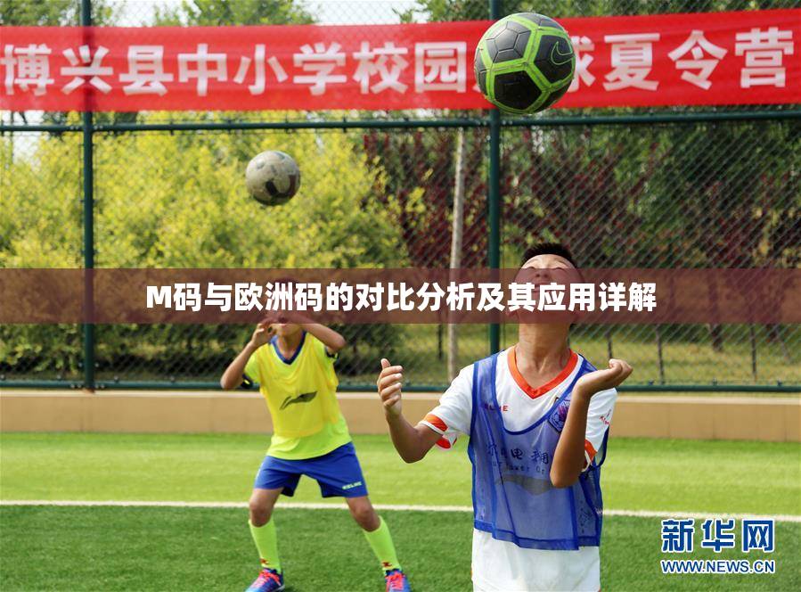 M码与欧洲码的对比分析及其应用详解