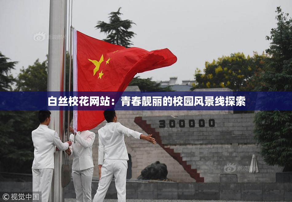 白丝校花网站：青春靓丽的校园风景线探索
