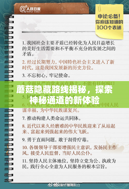 蘑菇隐藏路线揭秘，探索神秘通道的新体验
