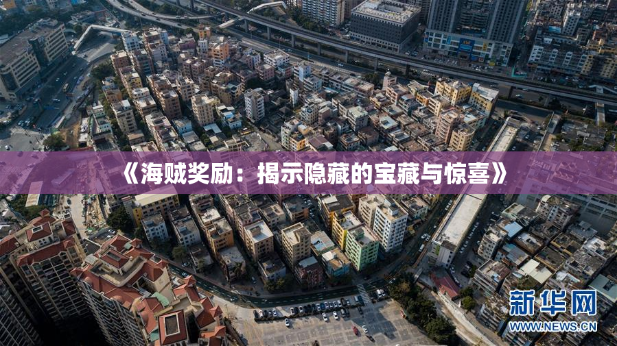 《海贼奖励：揭示隐藏的宝藏与惊喜》