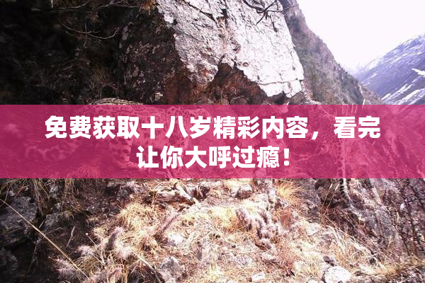 免费获取十八岁精彩内容，看完让你大呼过瘾！