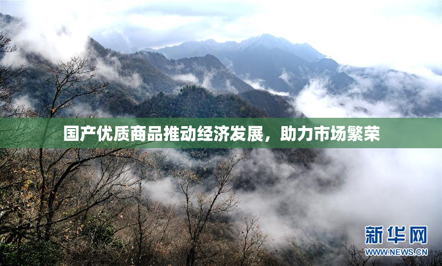 国产优质商品推动经济发展，助力市场繁荣