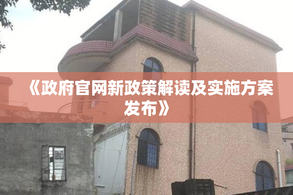《政府官网新政策解读及实施方案发布》