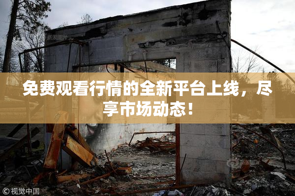 免费观看行情的全新平台上线，尽享市场动态！