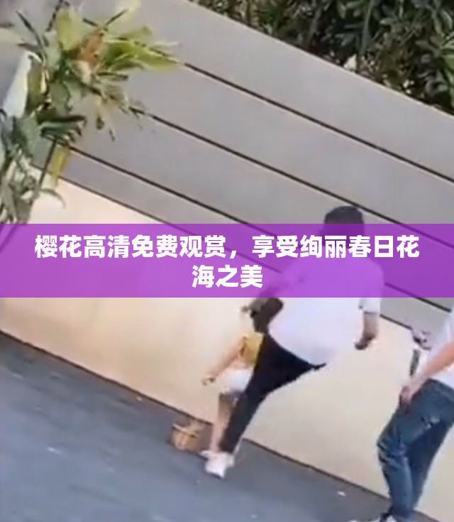 樱花高清免费观赏，享受绚丽春日花海之美