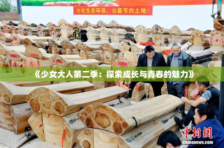 《少女大人第二季：探索成长与青春的魅力》