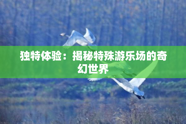 独特体验：揭秘特殊游乐场的奇幻世界