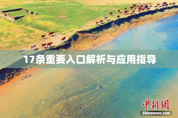 17条重要入口解析与应用指导