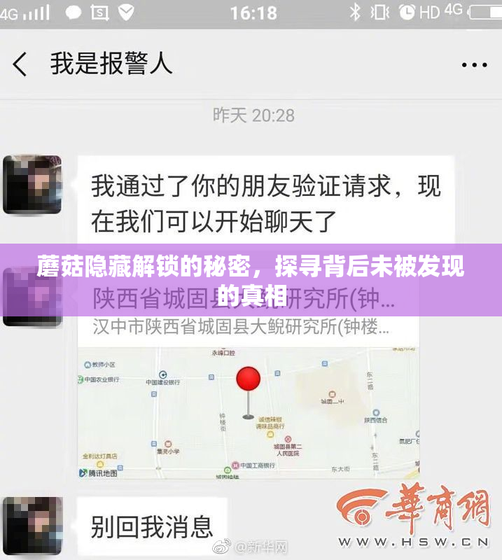 蘑菇隐藏解锁的秘密，探寻背后未被发现的真相