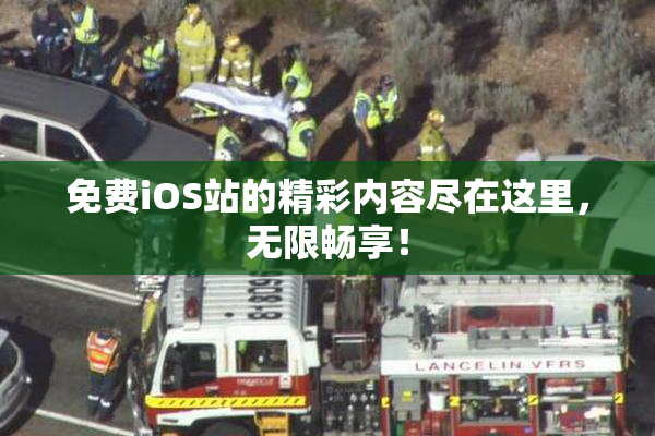 免费iOS站的精彩内容尽在这里，无限畅享！