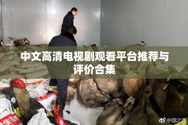 中文高清电视剧观看平台推荐与评价合集