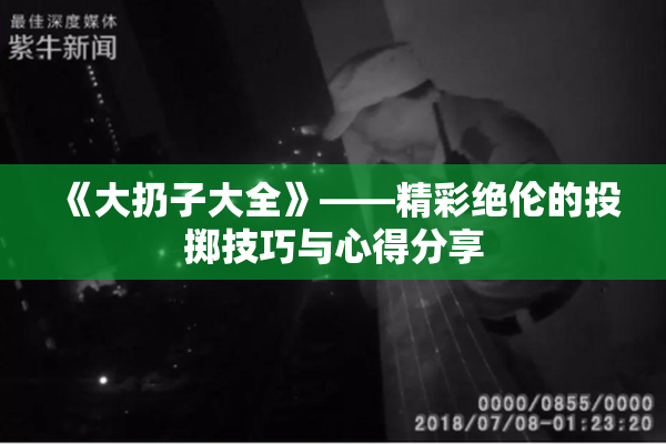 《大扔子大全》——精彩绝伦的投掷技巧与心得分享
