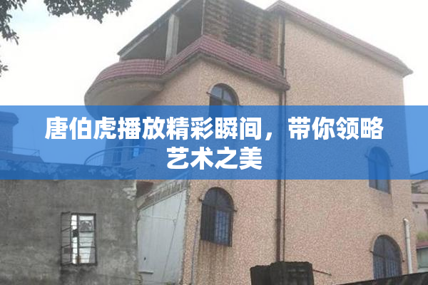 唐伯虎播放精彩瞬间，带你领略艺术之美
