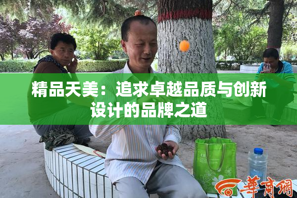 精品天美：追求卓越品质与创新设计的品牌之道