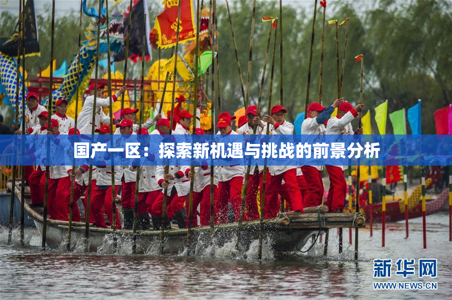 国产一区：探索新机遇与挑战的前景分析