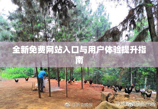 全新免费网站入口与用户体验提升指南